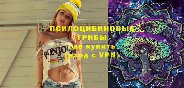 хмурый Алексин