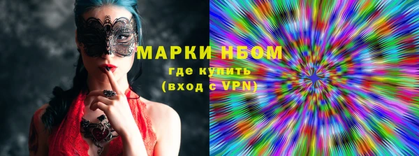хмурый Алексин