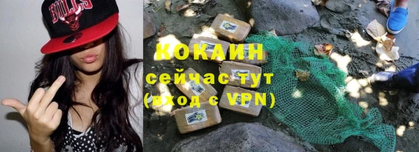 хмурый Алексин