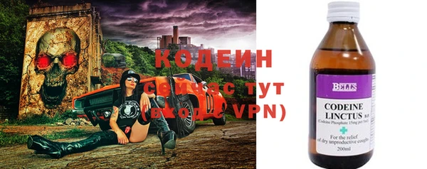 хмурый Алексин