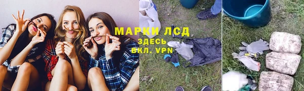 хмурый Алексин