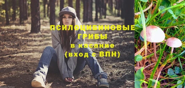 ешки Алзамай