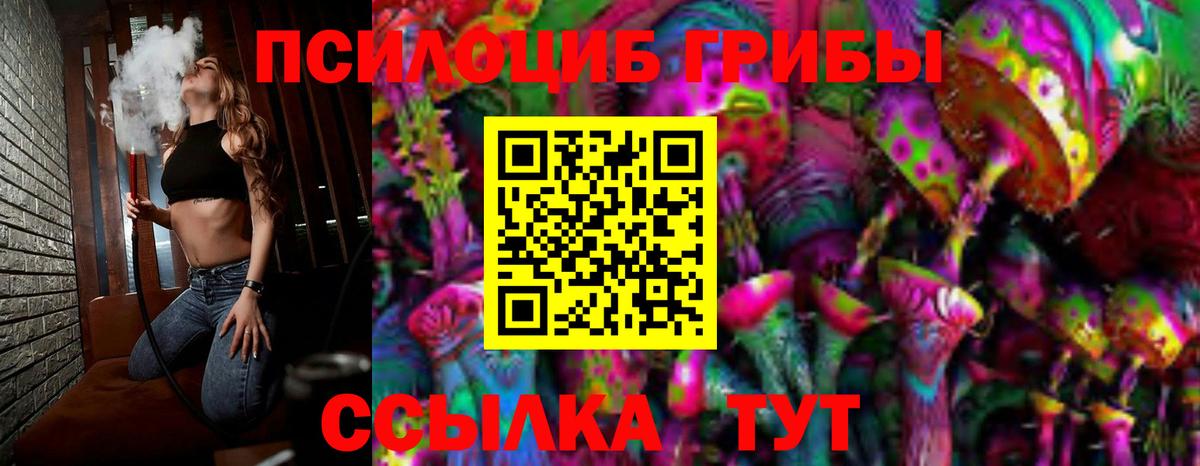 Галлюциногенные грибы Psilocybine cubensis  Вход с VPN  Сибай 
